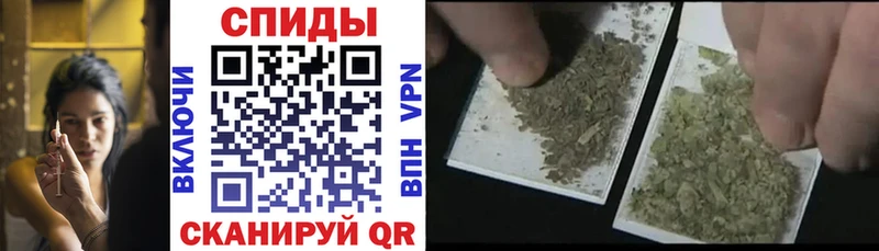 БУТИРАТ 99%  где найти   Райчихинск 