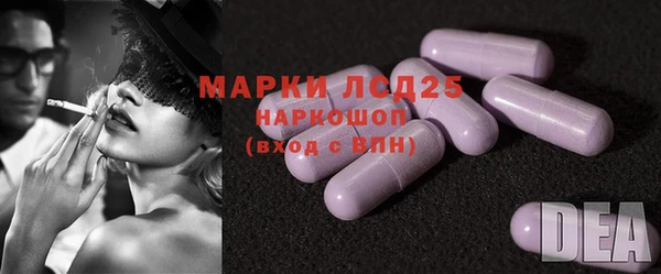ПСИЛОЦИБИНОВЫЕ ГРИБЫ Аркадак