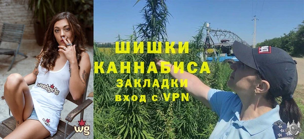ПСИЛОЦИБИНОВЫЕ ГРИБЫ Аркадак