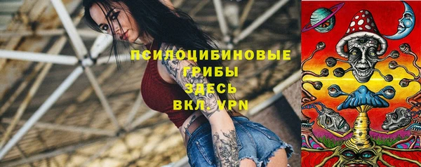 спиды Армянск