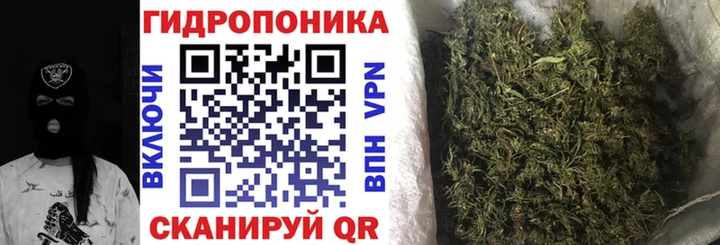 Шишки марихуана семена  Райчихинск 